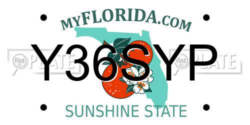 Y36SYP Florida License Plate