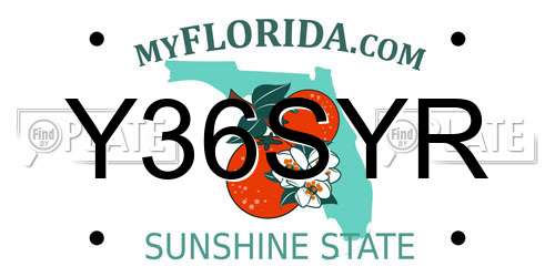 Y36SYR Florida License Plate
