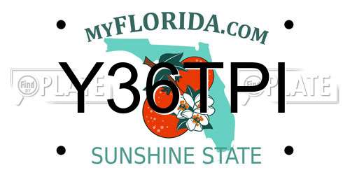 Y36TPI Florida License Plate
