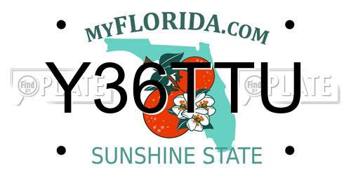Y36TTU Florida License Plate