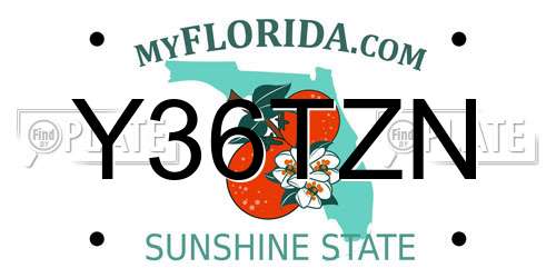 Y36TZN Florida License Plate