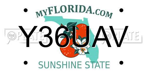Y36UAV Florida License Plate