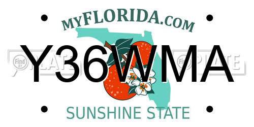 Y36WMA Florida License Plate