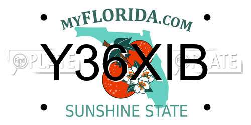 Y36XIB Florida License Plate