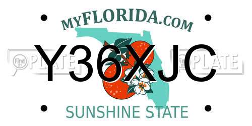 Y36XJC Florida License Plate