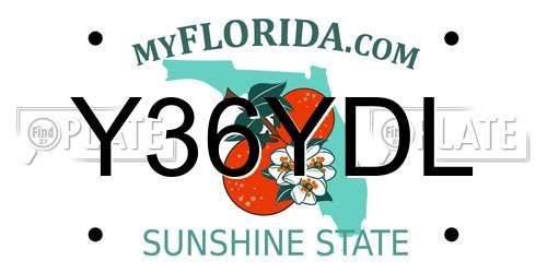 Y36YDL Florida License Plate