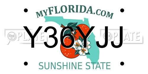 Y36YJJ Florida License Plate