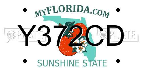 Y372CD Florida License Plate