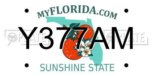 Y377AM Florida License Plate