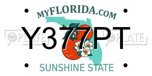 Y377PT Florida License Plate