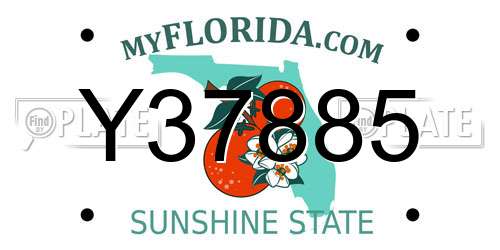 Y37885 Florida License Plate