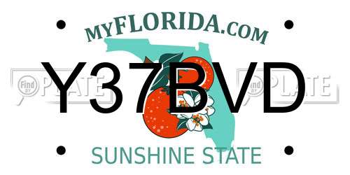 Y37BVD Florida License Plate