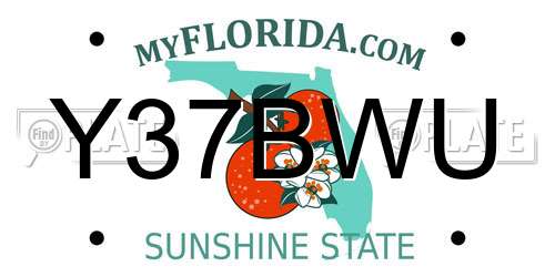 Y37BWU Florida License Plate