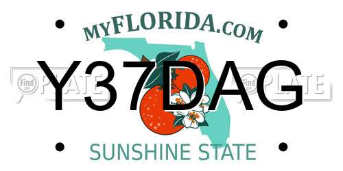 Y37DAG Florida License Plate