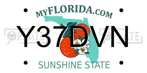 Y37DVN Florida License Plate