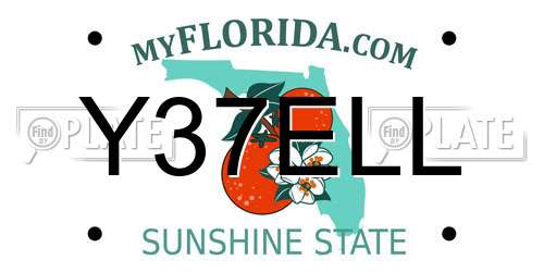 Y37ELL Florida License Plate