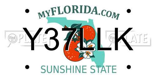 Y37LLK Florida License Plate
