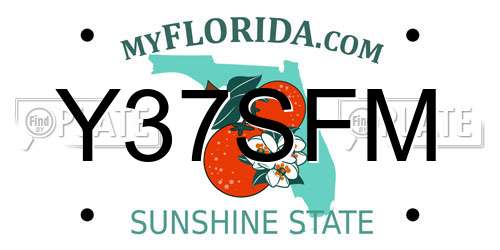 Y37SFM Florida License Plate