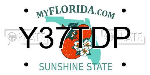 Y37TDP Florida License Plate