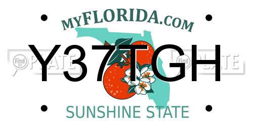 Y37TGH Florida License Plate
