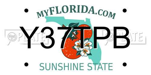 Y37TPB Florida License Plate