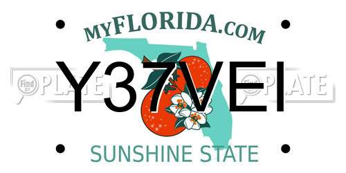 Y37VEI Florida License Plate
