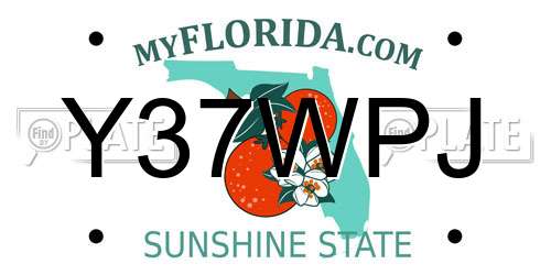 Y37WPJ Florida License Plate