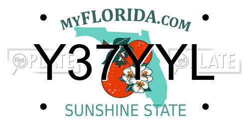 Y37YYL Florida License Plate