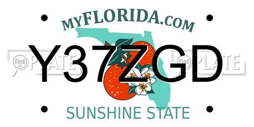 Y37ZGD Florida License Plate