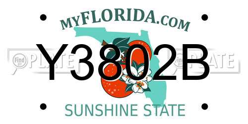 Y3802B Florida License Plate