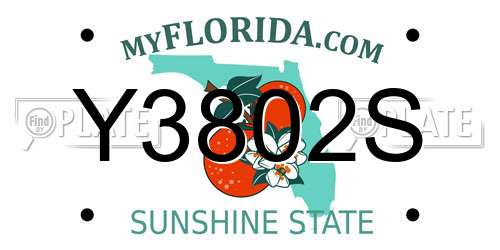 Y3802S Florida License Plate