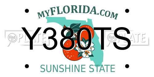 Y380TS Florida License Plate
