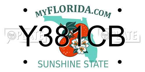 Y381CB Florida License Plate