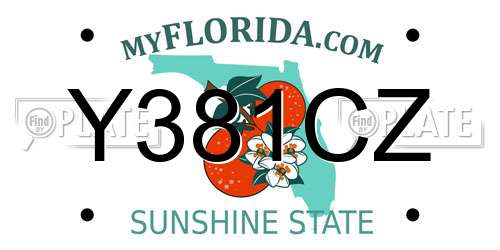 Y381CZ Florida License Plate