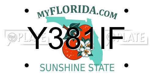 Y381IF Florida License Plate