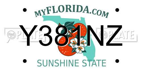 Y381NZ Florida License Plate