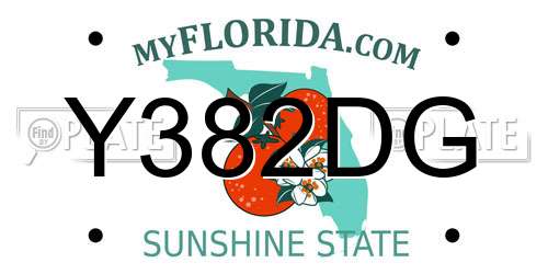 Y382DG Florida License Plate