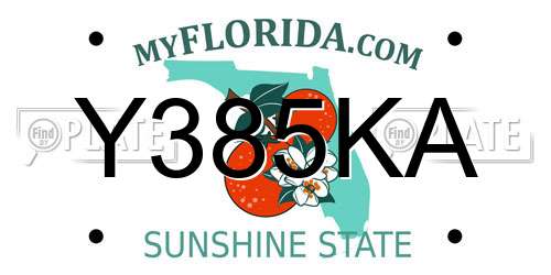 Y385KA Florida License Plate