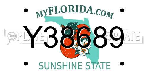 Y38689 Florida License Plate
