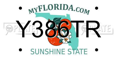 Y386TR Florida License Plate