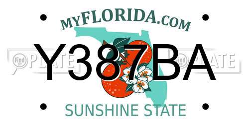 Y387BA Florida License Plate
