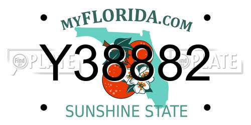 Y38882 Florida License Plate