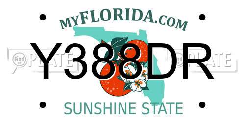 Y388DR Florida License Plate