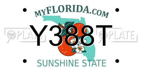 Y388T Florida License Plate