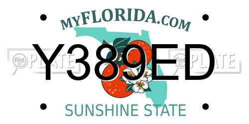 Y389ED Florida License Plate