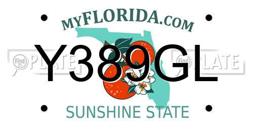 Y389GL Florida License Plate
