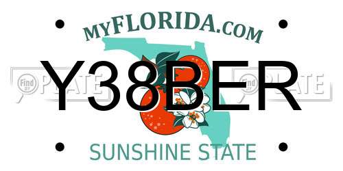 Y38BER Florida License Plate