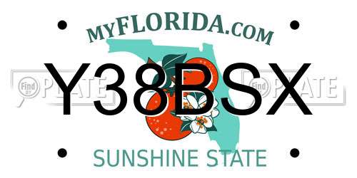 Y38BSX Florida License Plate