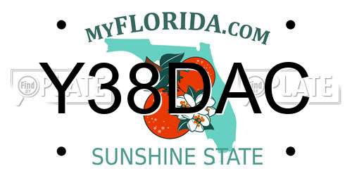 Y38DAC Florida License Plate