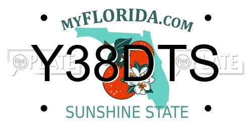 Y38DTS Florida License Plate
